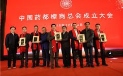楊文龍董事長(zhǎng)當(dāng)選中國(guó)藥都樟商總會(huì)會(huì)長(zhǎng)